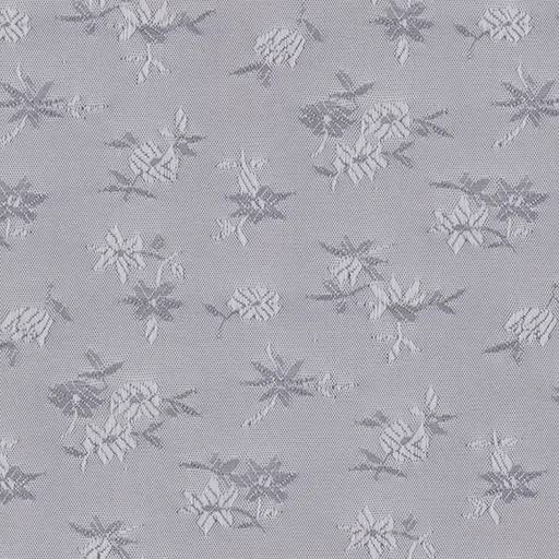 1000124.webp