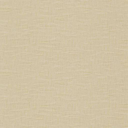1000179.webp