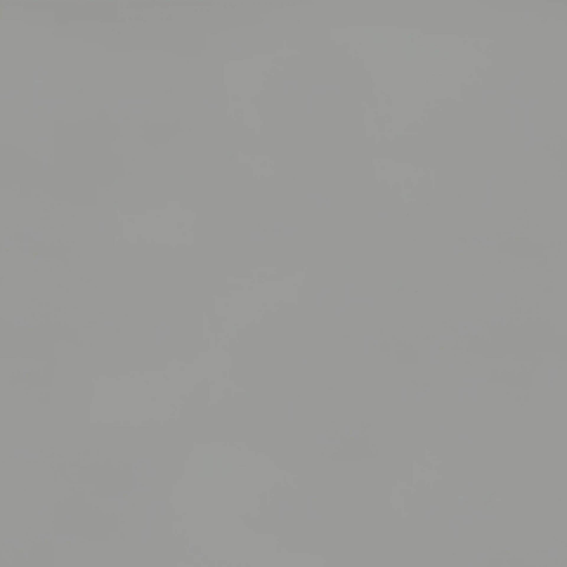 1001005.webp