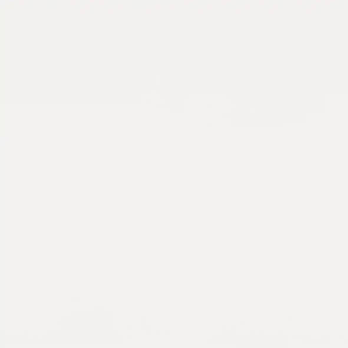 1001006.webp