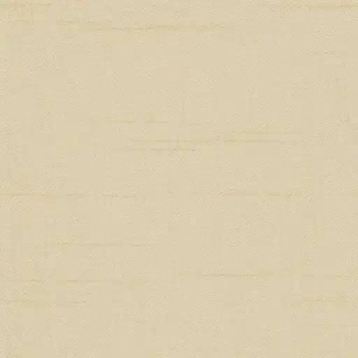 1008703.webp