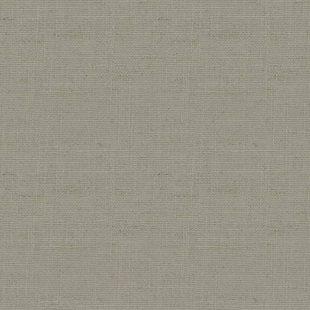1146447.webp