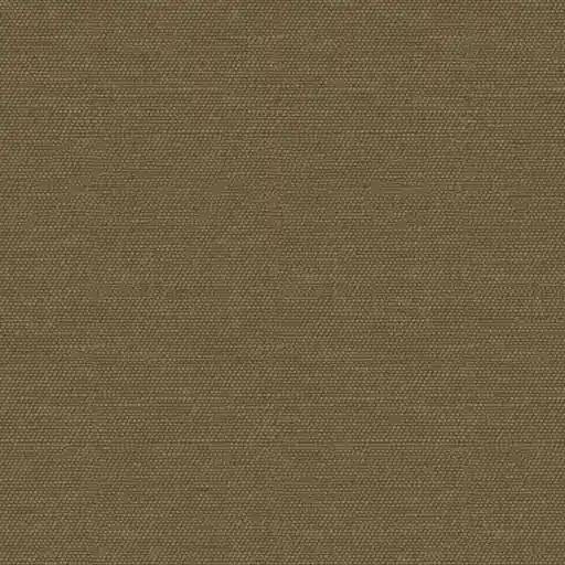 1156745.webp