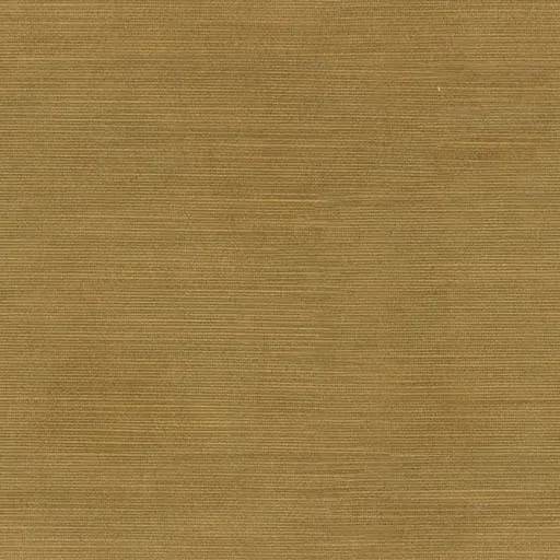 1225241.webp
