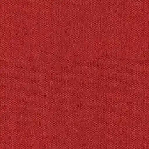 1257254.webp