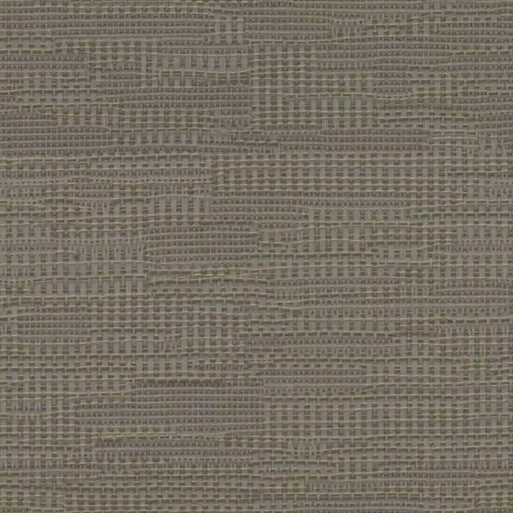 1763378936_1bee88da0135684f5fd2.webp
