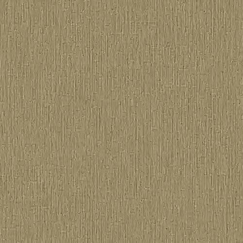 1783065571_90e1a3bfbabdc185861e.webp
