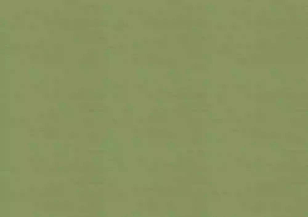 1784626100_595cc7826542156ae617.webp