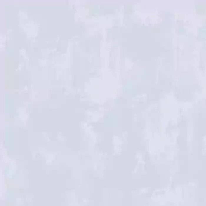 1786599337_28a001708d0a1776eab1.webp