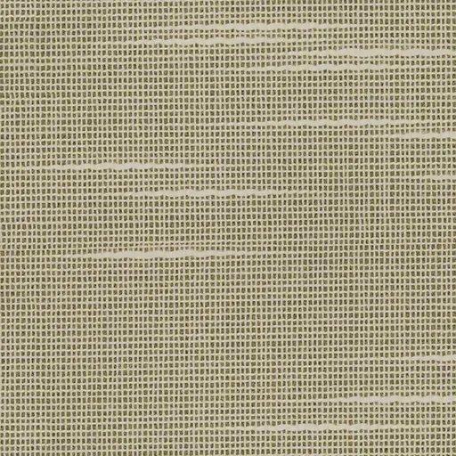 1000159.webp