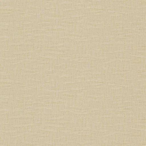 1000179.webp