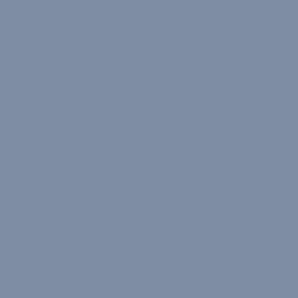 1000495.webp