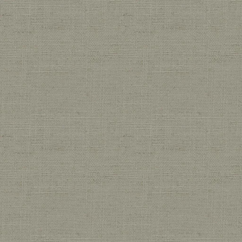 1146447.webp