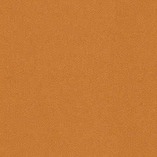 1257253.webp