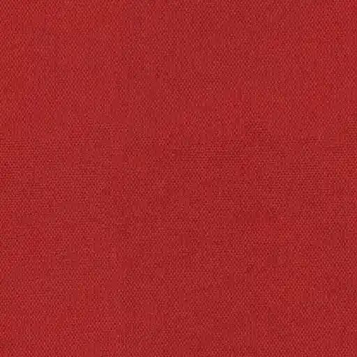 1257254.webp