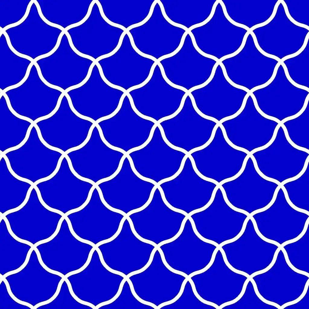 1257646.webp