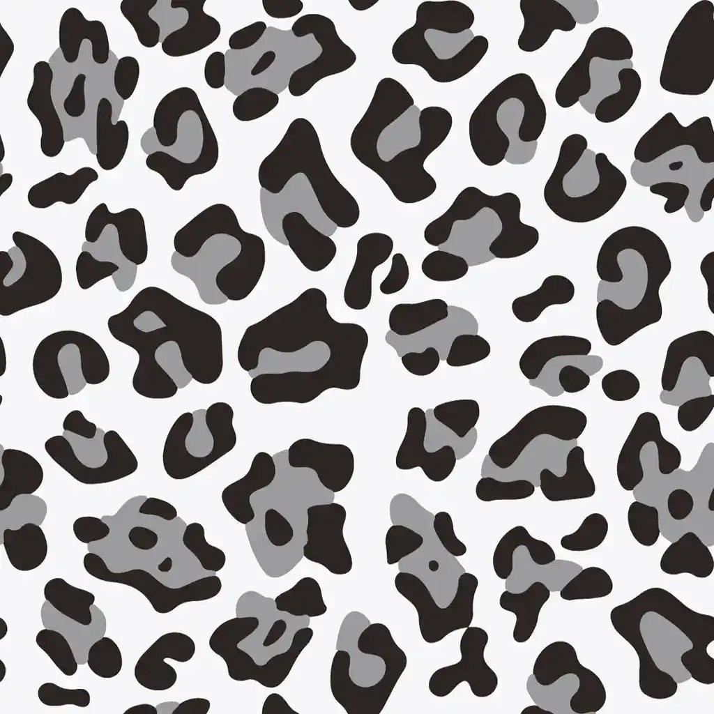 1257736.webp