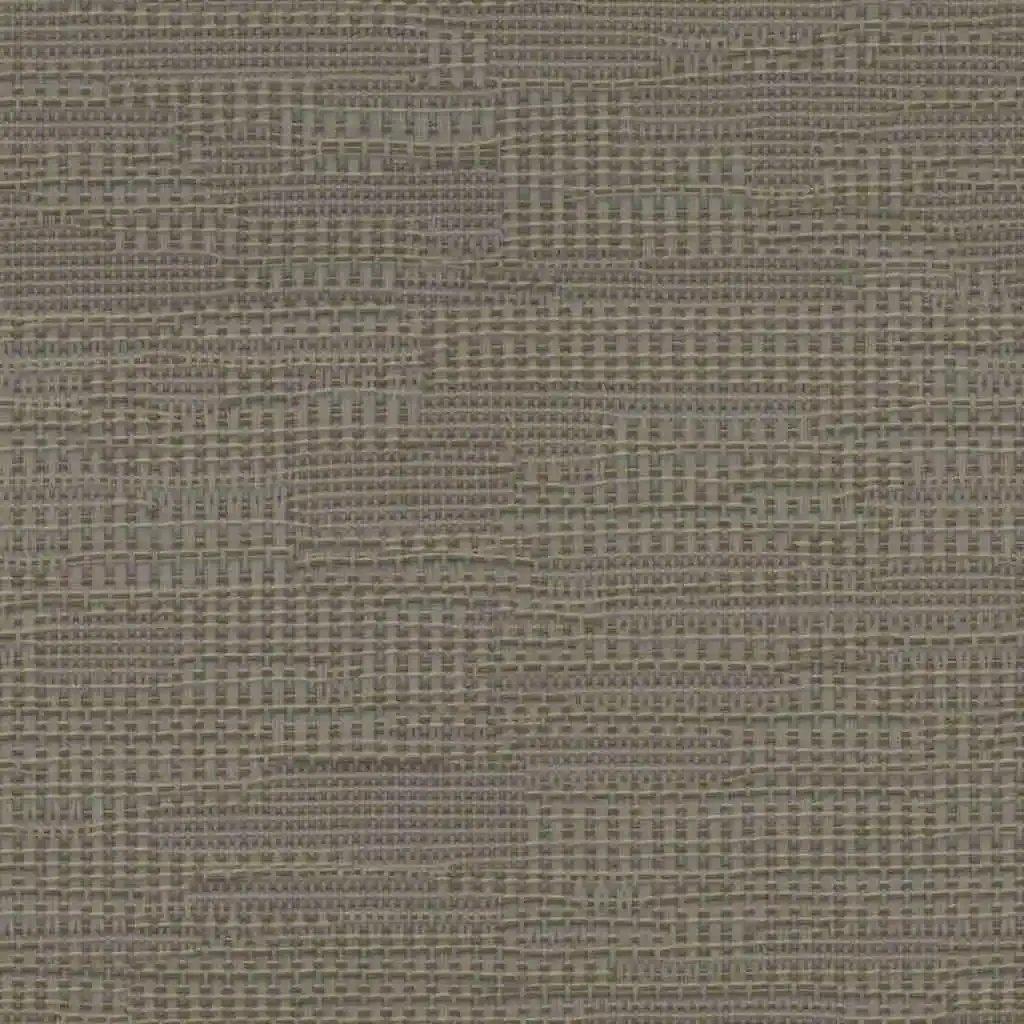 1763378936_1bee88da0135684f5fd2.webp