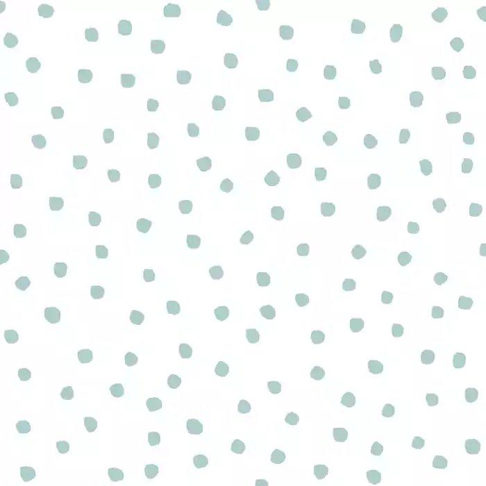 1786786749_8bab53c49954b0e10877.webp