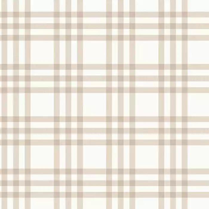 1786792227_0116893d560d1b7e729b.webp